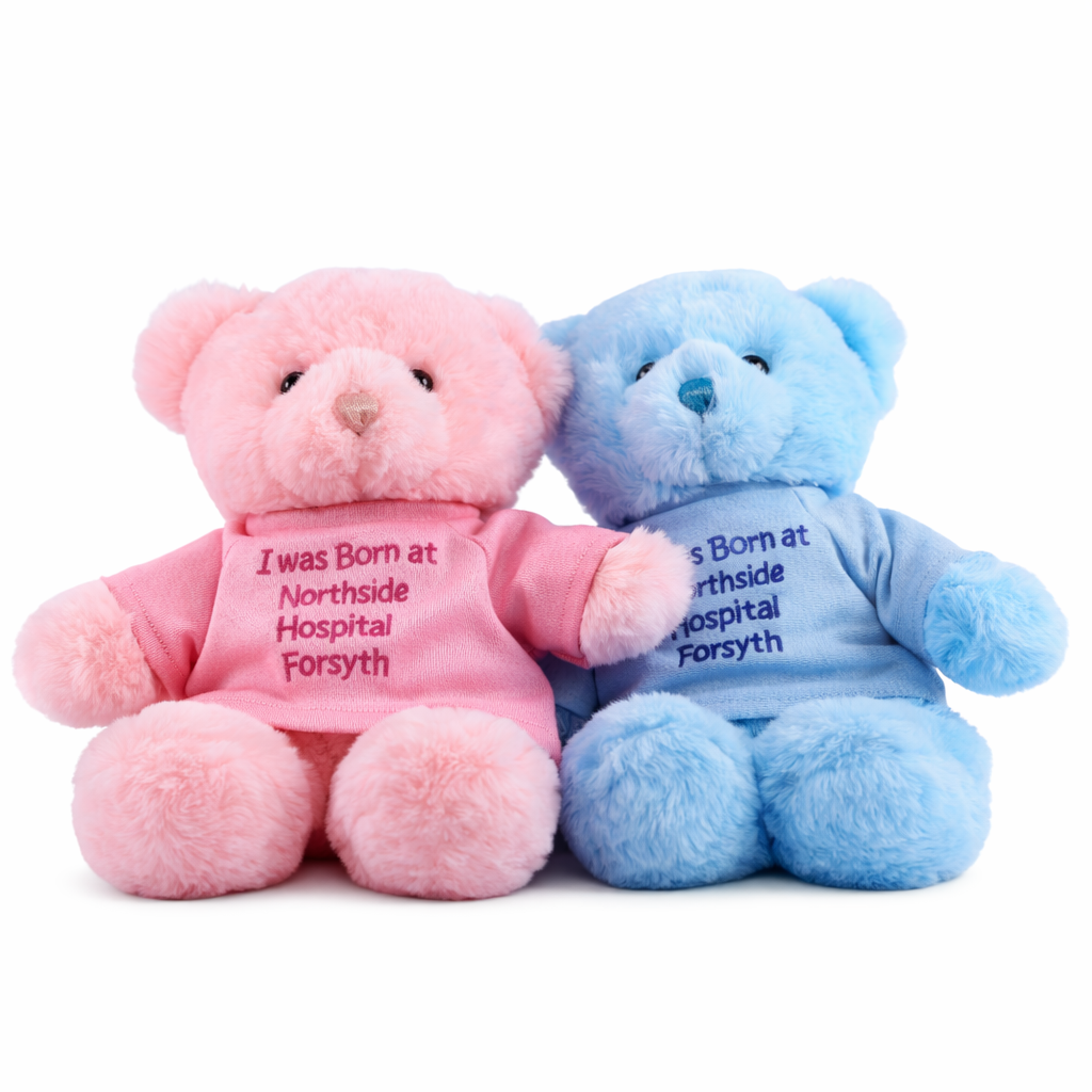 Two teddy bears, one pink and one blue, with embroidered text on a white background.