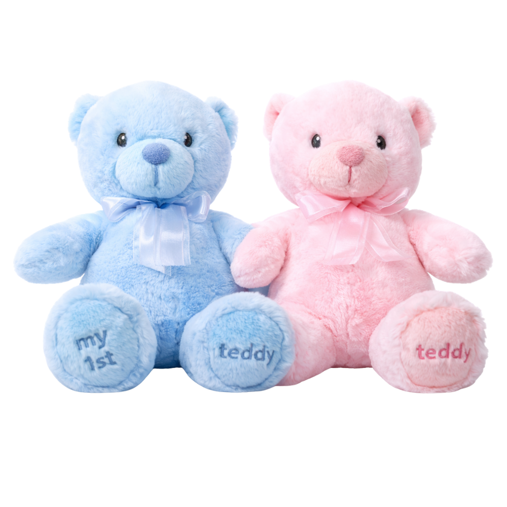 Two teddy bears, one blue and one pink, on a white background.