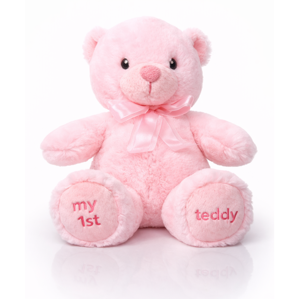 Pink teddy bear with 'my 1st teddy' text on a white background